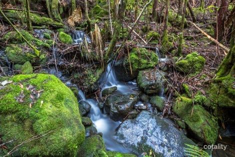 Property photo of 173 Caseys Road Nicholls Rivulet TAS 7112