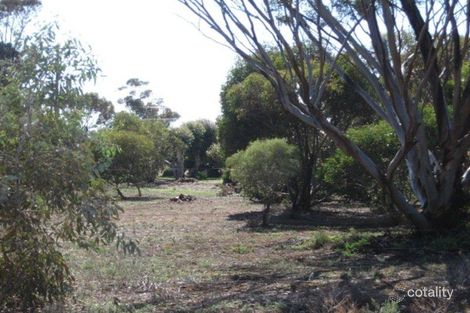 Property photo of 4 Third Street Tickera SA 5555