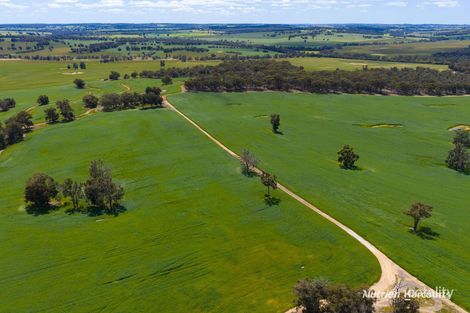 1748 Dardadine Rd, Dardadine, WA 6392