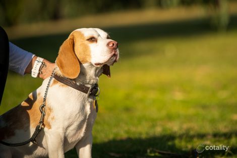 77 Duneview Dr, Ocean Grove, VIC 3226