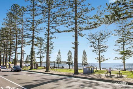Property photo of 23/101 Pacific Parade Dee Why NSW 2099