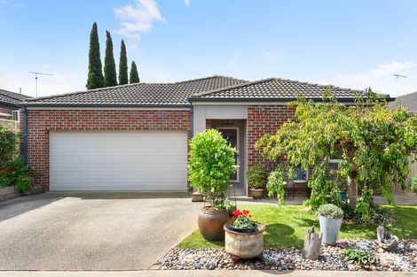 5/10-12 Britannia St, Geelong West, VIC 3218