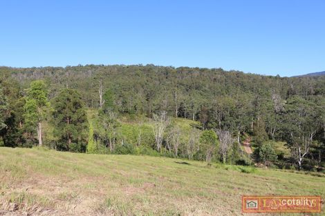 1184 Caparra Rd, Caparra, NSW 2429