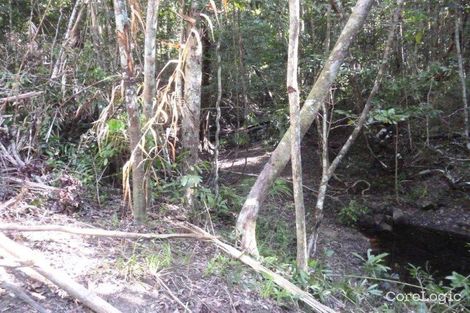 Property photo of 231 Ganyan Drive Speewah QLD 4881