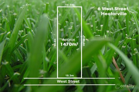 Property photo of 6 West Street Hectorville SA 5073