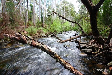 Property photo of 258 Crabtree Road Crabtree TAS 7109