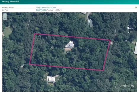 Property photo of 25 Fig Tree Road Cow Bay QLD 4873