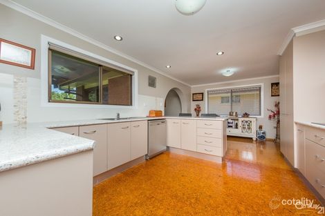Property photo of 23 Maloney Avenue South Lismore NSW 2480