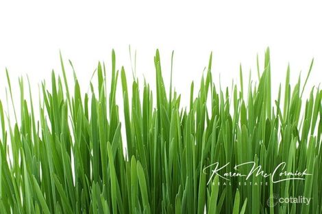 17 Bilby St, Longwarry, VIC 3816