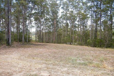 Property photo of 8 Supplejack Court Lake Macdonald QLD 4563