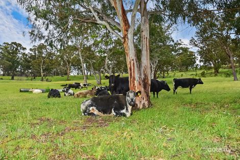 157 Blackmans Creek Rd, Hartley, NSW 2790