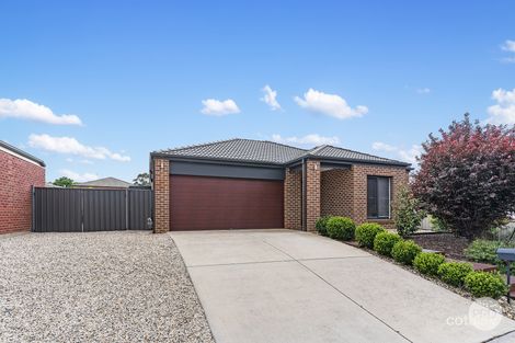 Property photo of 6 Lily Place Kangaroo Flat VIC 3555