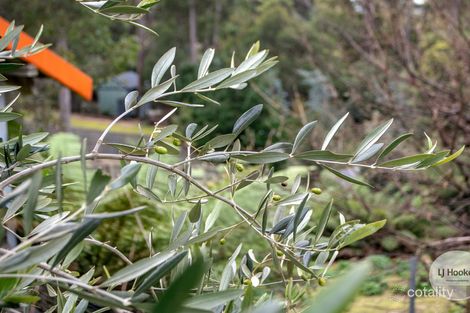 Property photo of 438 Strickland Avenue South Hobart TAS 7004
