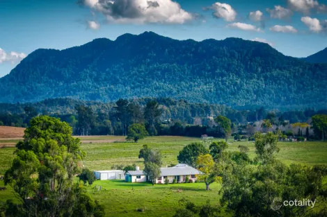 1531 Waterfall Way, Bellingen, NSW 2454