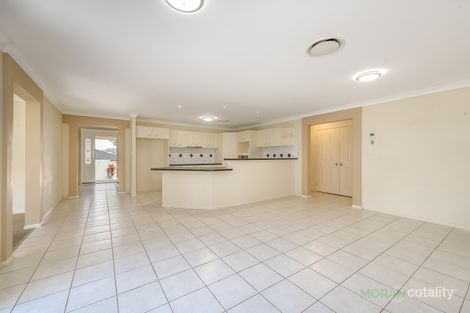 Property photo of 46 Dellwood Circuit Molendinar QLD 4214