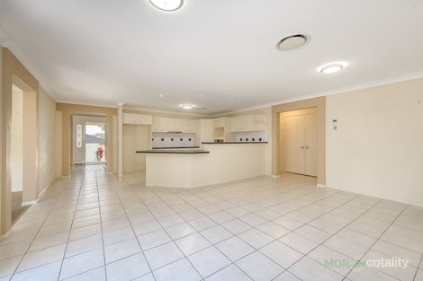 Property photo of 46 Dellwood Circuit Molendinar QLD 4214