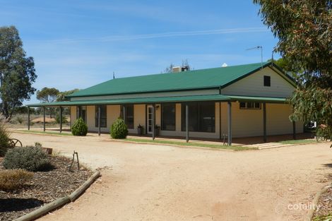 731 Hunt Rd, Loveday, SA 5345