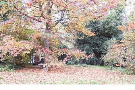 Property photo of 14 Olinda-Monbulk Road Olinda VIC 3788