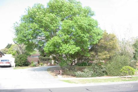 Property photo of 20 Adrienne Crescent Mount Waverley VIC 3149