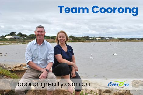 Property photo of 35 Peake Terrace Coonalpyn SA 5265
