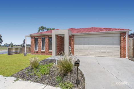 Property photo of 21 Copper Beech Road Beaconsfield VIC 3807