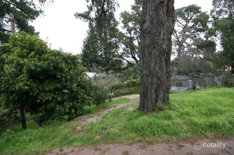 Property photo of 47 Joan Avenue Ferntree Gully VIC 3156