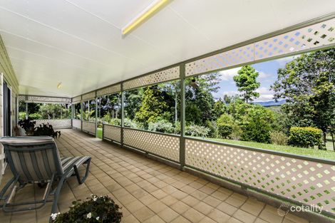 Property photo of 8 Trinity Close Julatten QLD 4871