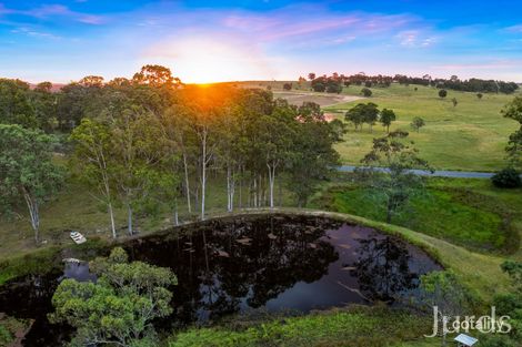 Property photo of 256 Elderslie Road Branxton NSW 2335