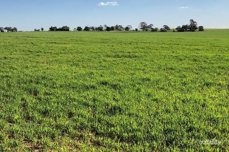 299 Barry Rd, Manangatang, VIC 3546