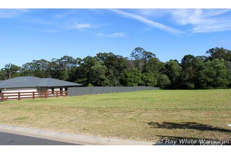 Property photo of 17 Murphy Court Wamuran QLD 4512