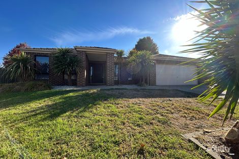 1 Jarrah Ct, East Albury, NSW 2640