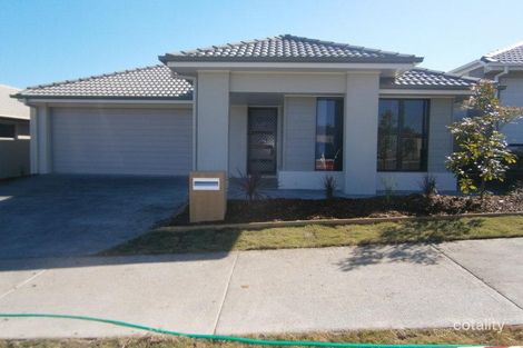 Property photo of 7 Grindelia Drive Springfield Lakes QLD 4300