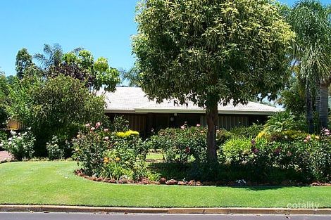 8 Netley St, Morley, WA 6062