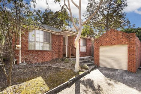 2/10 Hibiscus Ave, Briar Hill, VIC 3088
