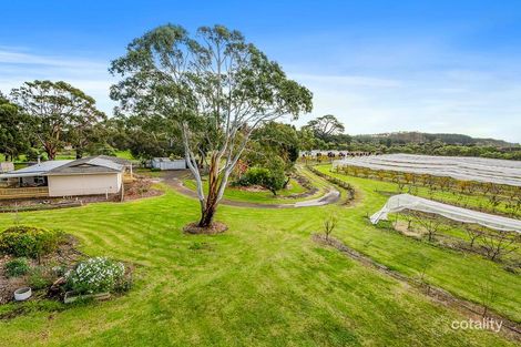 Property photo of 11516 Southern Ports Highway Millicent SA 5280