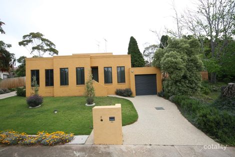 41 The Avenue, Belmont, VIC 3216