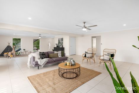 Property photo of 23 Pickwick Street Cannon Hill QLD 4170