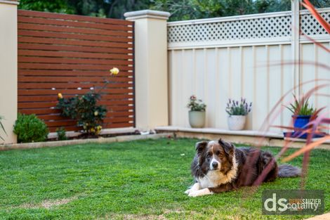 Property photo of 11 Kensington Way Pearsall WA 6065