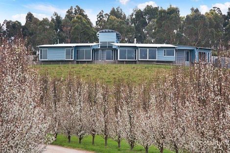 673 Bishop Rd, Worrolong, SA 5291