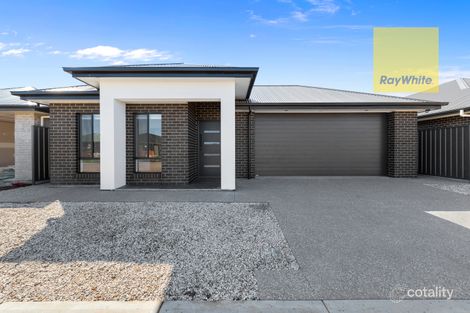 Property photo of 3 Eric Road Angle Vale SA 5117