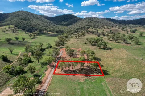 113 Ogunbil Rd, Dungowan, NSW 2340