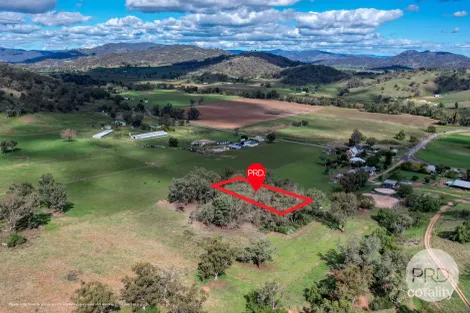 Property photo of 113 Ogunbil Road Dungowan NSW 2340