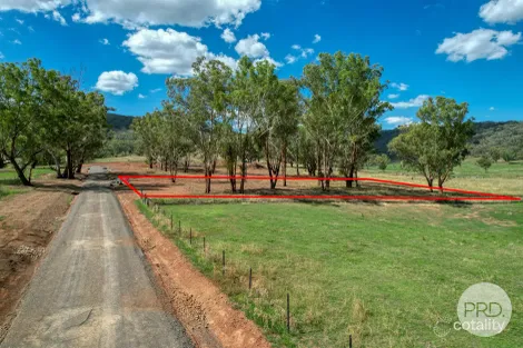 Property photo of 113 Ogunbil Road Dungowan NSW 2340