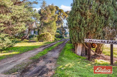 Property photo of 29 Miamba Road Lyndoch SA 5351