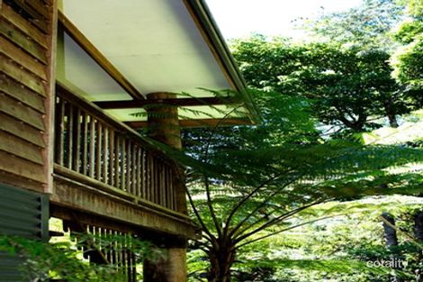 Property photo of 43 Williamson Drive Kuranda QLD 4881