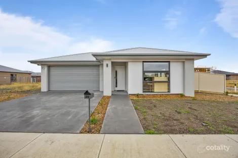 Property photo of 29 Webb Road Bonshaw VIC 3352