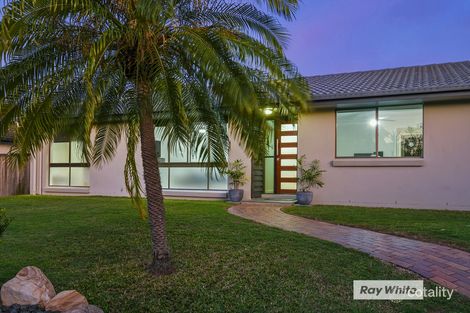 Property photo of 6 Wyola Close Riverhills QLD 4074