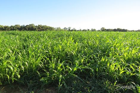 606 Healy Rd, Cobram, VIC 3644