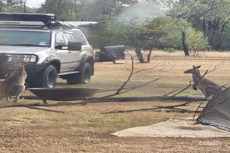 800 Capricornia Dr, Deepwater, QLD 4674