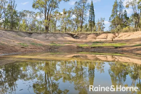 Property photo of 841 Ridge Road Cooks Gap NSW 2850